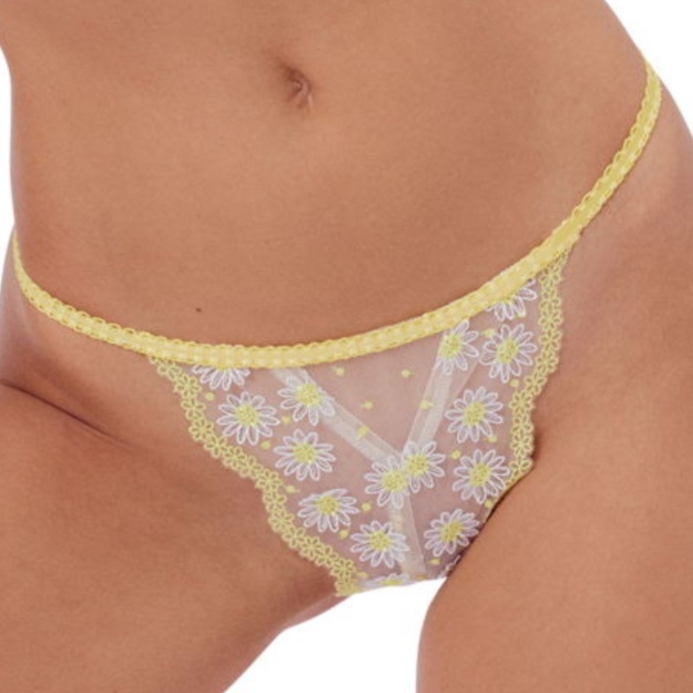 Lemon Drop Cheeky Panty For Love & Lemons Skivvies NWT Medium